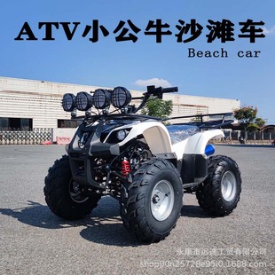 atv݆ɳ܇ԽҰĦ125ccСţĦ܇ȫγp