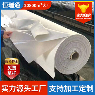 景觀河人工湖長絲復合土工膜濕地公園一布一膜河道治理兩布一膜