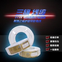 BVVB 扁護套線 電源線  GGG  三旗點線電纜 廠家供應 批發