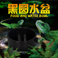 爬寵爬蟲蛇蟒蜘蛛守宮蜥蜴蠍子蜈蚣角蛙壁虎甲蟲昆蟲飼養盒H0