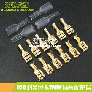 羳 100ɫ6.3mm P ~ao Ƭʽ