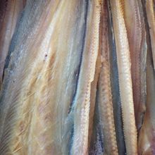 廠家批發海鮮干貨大鰻魚魚干漁家自曬當季新貨淡曬海鰻干野生