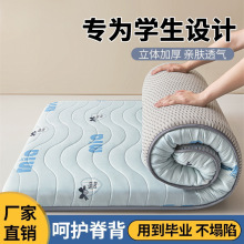 A類水洗棉床墊子軟墊家用褥子租房床褥學生宿舍單人榻榻米遮蓋物