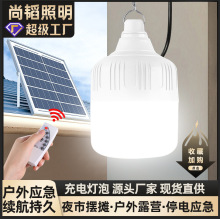 廠家太陽能充電球泡戶外露營擺攤應急照明家用太陽能燈