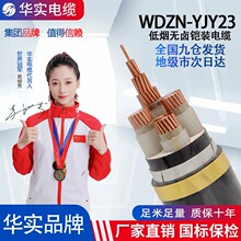 電纜電線低煙無鹵阻燃耐火鋼帶鎧裝低壓電力電纜銅芯線WDZN-YJY23