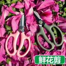 不銹鋼花藝剪花店修枝剪鮮花剪園林盆景工具樹枝剪剪刀廠家批發