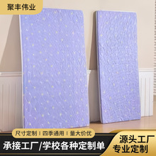 椰棕墊棕櫚墊上下床軟硬單層雙層床墊加厚學生床墊出租房床墊定制