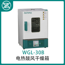 WGL WGLL電熱鼓風干燥箱烘箱 數碼管PID控溫高效干燥效果新品推薦