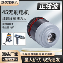 源頭工廠45微型電機無刷直流吸塵器馬達電動工具大扭力氣泵電動機