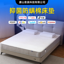 記憶棉床墊24cm抑菌防蟎棉床墊家用卧室榻榻米租房專用海綿墊床墊