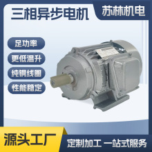 Y系列鐵殼三相電機卧式側方接線盒鐵殼電機三相異步電動機