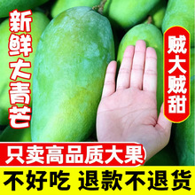 一件代發大芒果雲南玉芒金煌芒10斤香甜多汁新鮮現摘薄皮凱芒果
