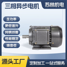 YE3-100L1-4-2.2kw三相電機鐵殼三相異步電機電動機馬達交流電機