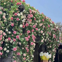 仿真花藤薔薇花藤蔓塑料花裝飾吊頂空調水管道纏繞裝飾玫瑰假花藤