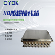 2B2C級防爆箱 隔爆型防爆儀表箱控制箱接線箱防爆端子箱 工廠直銷