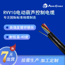 RVV1G/RVV2G起重機葫蘆手柄電纜 帶鋼絲電動葫蘆控制電纜