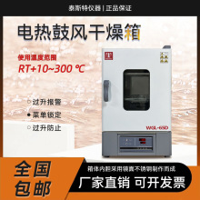 泰斯特電熱鼓風干燥箱WGL-30D恆溫箱WGL-125L實驗室烘箱 WGL-85T