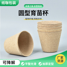 圓型紙漿育苗杯 多肉葉插芽苗菜蝴蝶蘭一次性可降解育苗杯20只裝