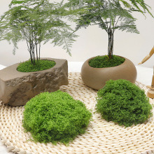 diy仿真苔蘚綠植盆栽自制插花花造景草皮裝飾盆景植物配草花藝