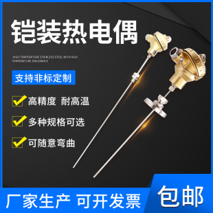 工廠批發熱電偶 耐高溫K型熱電偶 鎧裝熱電偶WRNK-131231江蘇環亞
