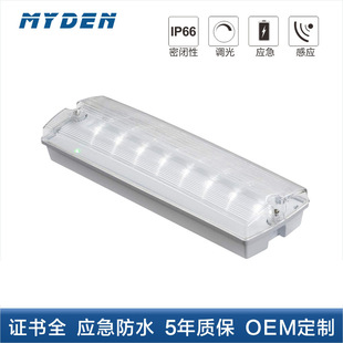 LEDˮͨIP65픱ڟ10w 30cm90min