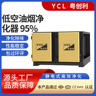 商用廚房抽油煙機 靜電式油煙凈化器 酒店餐飲業飯店油煙凈化設備