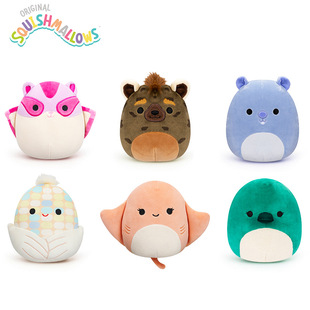 5Squishmallows۴ׄɐëqż޶Y