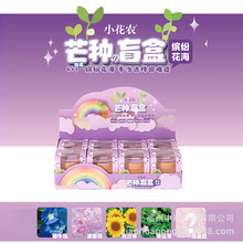 兒童種植小盆栽盲盒創意迷你植物科學實驗益智幼兒園畢業禮品獎品