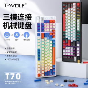 T-WOLFT70oCеIP{ģRGBΑƻIP羳