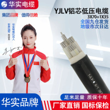 湖北廠家國標YJLV鋁芯電力電纜三相四線低壓阻燃YJLV22鎧裝電纜線
