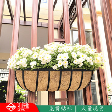 阿馬遜裝鐵藝欄桿窗台長方形椰棕掛架經典款扁鐵椰棕馬槽壁掛花盆
