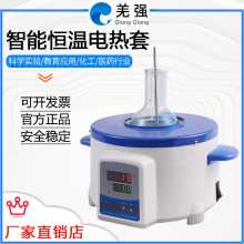 數顯恆溫電熱套ZNHWPTHW可調溫智能控溫50ML-50000ML實驗室加熱套