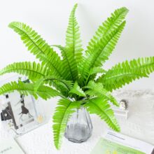 18頭大蕨大波斯葉綠色仿真大葉子植物把束仿真花婚慶路引裝飾配材