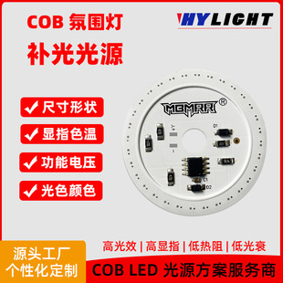 cobԴ RGBCW bˮ׷׃ɫCOBՇ òIC COB LED