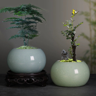多肉花盆陶瓷哥窯開片文竹小葉赤楠桌面綠植盆辦公室酒店裝飾花盆