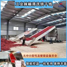 工業辣椒烘干機 大型工業色素辣子清洗烘干線 紅辣椒二次復烘設備