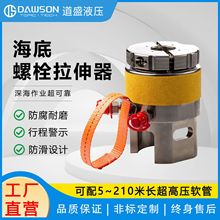 道盛 DWST系列海底螺栓拉伸器 分體式液壓拉伸器可靠安全鍍鎳防腐