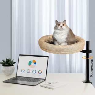 羳؈挙ﳲ؈҃؈؈ﴲCat Bed Desk