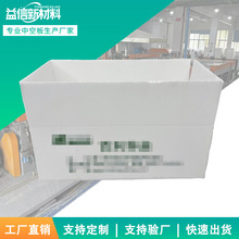 可循環中空板種苗箱  農業育苗防水周轉包裝PP塑料中空板種苗箱