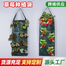 掛壁式簡易黑色草莓種植袋 家庭陽台果蔬塑料種植袋 可折疊收納袋