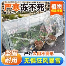 冬天室外花房保溫棚庭院戶外綠植物花卉溫室蔬菜暖棚暖房花棚家用