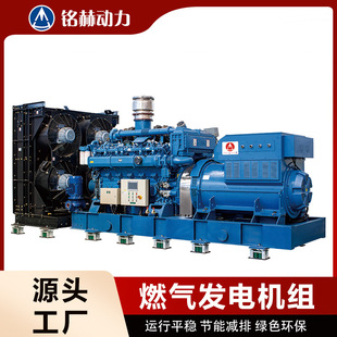 200KWȼl늙C300kw 500kw 600kw800KVA1000ǧ l늙C