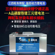 新國標廠家直銷二三四輪電動車磷酸鐵鋰三元鋰電池超大容量電瓶車