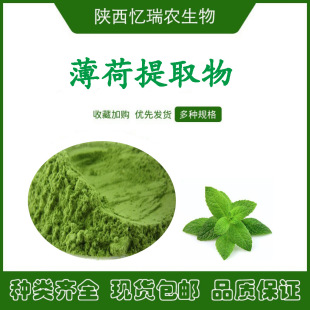 薄荷粉 食品級全水溶固體飲料果蔬代餐粉  工廠現貨品質保證