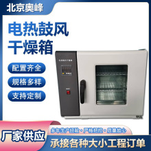 數顯電熱鼓風干燥箱遠紅外恆溫干燥箱實驗室高溫加熱烘箱