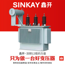 s11-250kva10/0.4kv電力200kw銅160千伏安125千瓦100油浸式變壓器