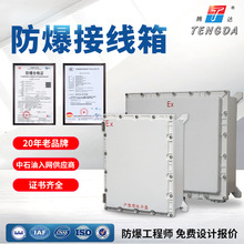 工業防爆配電箱接線箱儀表電力檢修照明動力控制操作監控箱端子箱