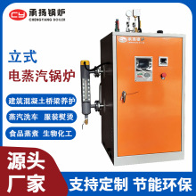 承揚鍋爐全自動電蒸汽鍋爐工業電加熱蒸汽鍋爐立式電鍋爐商用