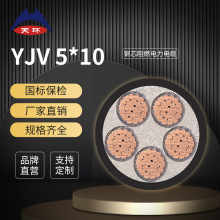 【廠家直銷】天環 ZC-YJV5*10 銅芯電力電纜 阻燃國標低壓電纜線