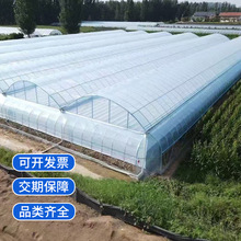 薄膜連棟大棚農業生姜草莓種植觀光大棚 花卉養殖棚廠家設計安裝